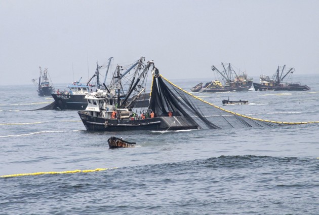 PRODUCE: El Gobierno anuncia medidas contra la pesca ilegal en nuestro litoral