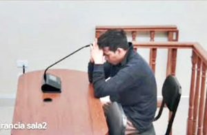 imagen referencial